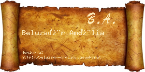 Beluzsár Amália névjegykártya